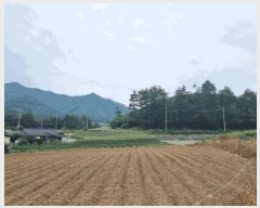  2025Ÿ��30647  ��õ���