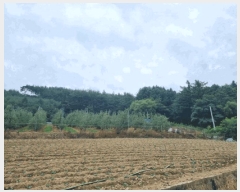  2025Ÿ��30647  ��õ���