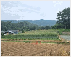  2025Ÿ��30647  ��õ���