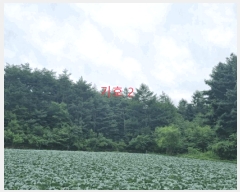  2025Ÿ��30647  ��õ���