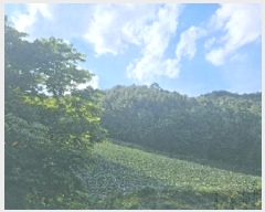  2025Ÿ��30647  ��õ���