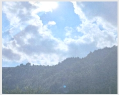  2025Ÿ��30647  ��õ���