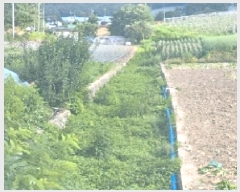  2025Ÿ��30647  ��õ���