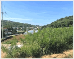  2025Ÿ��30681 ���� ���ؽ� ���� 320-1       ����(����)���