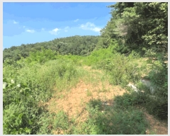  2025Ÿ��30681 ���� ���ؽ� ���� 320-1       ����(����)���