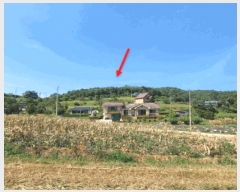  2025Ÿ��30681 ���� ���ؽ� ���� 320-1       ����(����)���