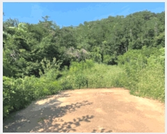  2025Ÿ��30681 ���� ���ؽ� ���� 320-1       ����(����)���