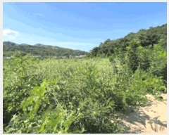  2025Ÿ��30681 ���� ���ؽ� ���� 320-1       ����(����)���