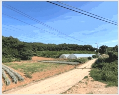  2025Ÿ��30681 ���� ���ؽ� ���� 320-1       ����(����)���