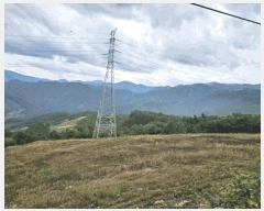  2025Ÿ��30733  �����