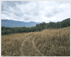  2025Ÿ��30733  �����