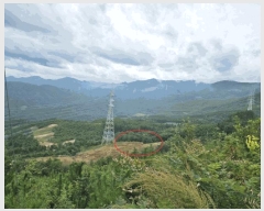  2025Ÿ��30733  �����