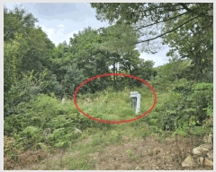  2025Ÿ��30733  �����