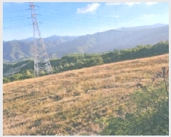  2025Ÿ��30733  �����