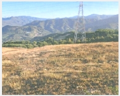  2025Ÿ��30733  �����