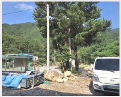  2025Ÿ��30752 ���� ������ ����� ��긮 1029-9      ����(��1)���