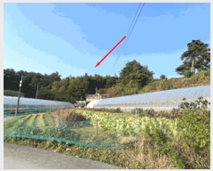  2025Ÿ��30762  �Ӿ߰��