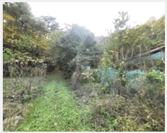  2025Ÿ��30762  �Ӿ߰��