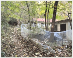  2025Ÿ��30762  �Ӿ߰��