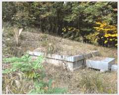  2025Ÿ��30762  �Ӿ߰��