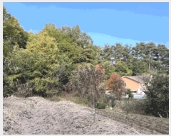  2025Ÿ��30762  �Ӿ߰��