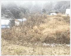  2025Ÿ��30783  ���(ķ����)���