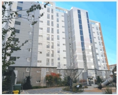  2025Ÿ��30809 ���� ������ �Ծϵ� 713 �����Ծϵ�õ�Ⱑ���ä����Ʈ 101�� 5��504ȣ    ����Ʈ���
