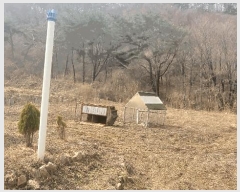  2025Ÿ��176  �����