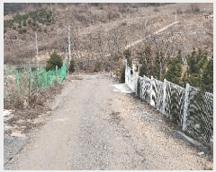  2025Ÿ��176  �����