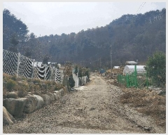  2025Ÿ��176  �����