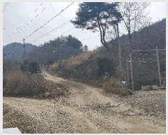  2025Ÿ��176  �����