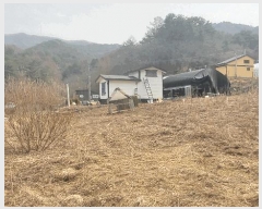  2025Ÿ��176  �����