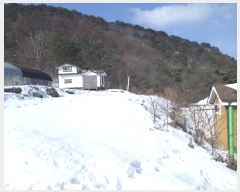  2025Ÿ��176  �����