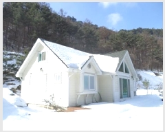  2025Ÿ��183  ���ð��