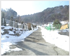  2025Ÿ��183  ���ð��