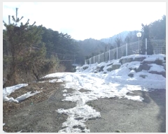  2025Ÿ��183  ���ð��