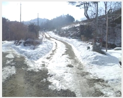  2025Ÿ��183  ���ð��