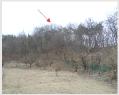  2025Ÿ��206 ���� Ⱦ���� ��õ�� ���ϸ� 82      ����(�Ӿ�)���