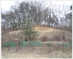  2025Ÿ��206 ���� Ⱦ���� ��õ�� ���ϸ� 82      ����(�Ӿ�)���