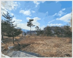  2025Ÿ��299  �ٸ��ü����