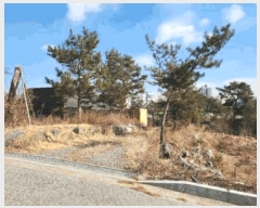  2025Ÿ��299  �ٸ��ü����