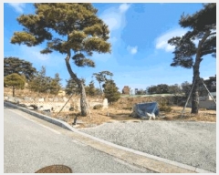  2025Ÿ��299  �ٸ��ü����