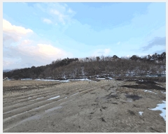  2025Ÿ��329 ���� ���ֽ� ���ʸ� ���׸� 874-2      ����(�Ӿ�)���