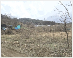  2025Ÿ��534 ���� ���ֽ� ȣ���� ���긮 599      ����(��1)���