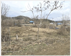  2025Ÿ��534 ���� ���ֽ� ȣ���� ���긮 599      ����(��1)���