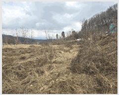  2025Ÿ��534 ���� ���ֽ� ȣ���� ���긮 599      ����(��1)���