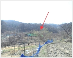  2025Ÿ��534 ���� ���ֽ� ȣ���� ���긮 599      ����(��1)���