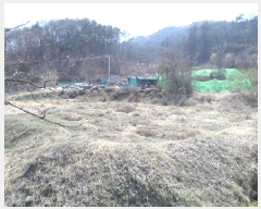  2025Ÿ��534 ���� ���ֽ� ȣ���� ���긮 599      ����(��1)���