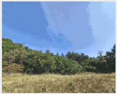  2025Ÿ��640 ���� Ⱦ���� �г��� ��븮 421-1      ����(������)���