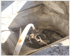  2025Ÿ��640 ���� Ⱦ���� �г��� ��븮 421-1      ����(������)���